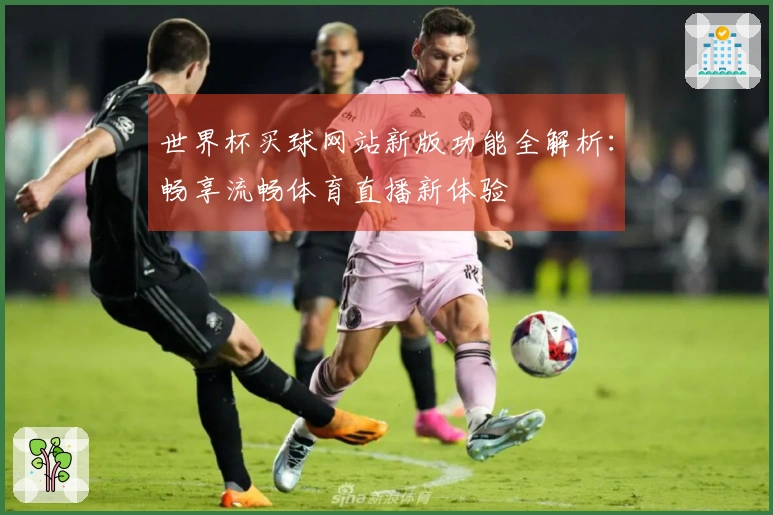 世界杯买球网站新版功能全解析：畅享流畅体育直播新体验