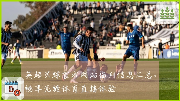 英超买球官方网站福利信息汇总，畅享无缝体育直播体验