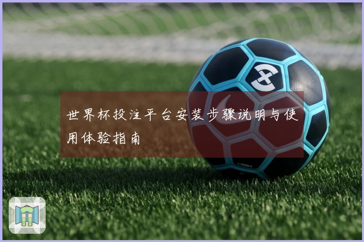 世界杯投注平台安装步骤说明与使用体验指南