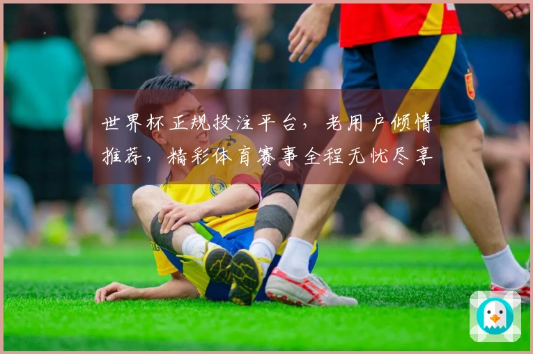 世界杯正规投注平台，老用户倾情推荐，精彩体育赛事全程无忧尽享