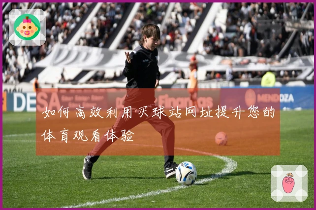 如何高效利用买球站网址提升您的体育观看体验