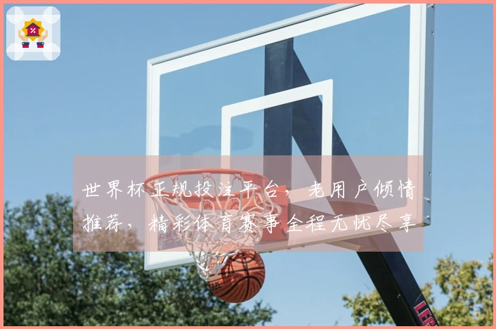 世界杯正规投注平台，老用户倾情推荐，精彩体育赛事全程无忧尽享