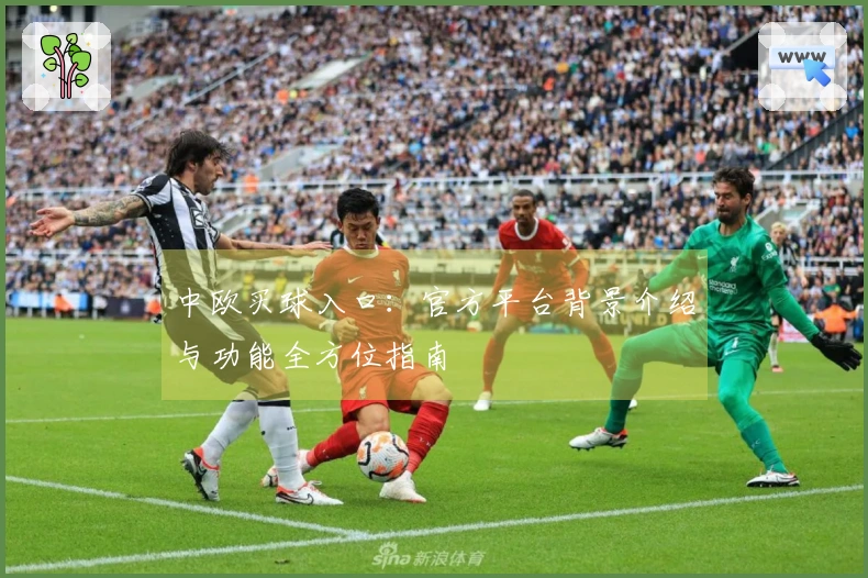 中欧买球入口：官方平台背景介绍与功能全方位指南