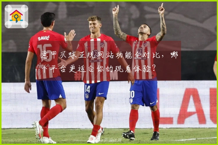 意甲买球正规网站功能全对比，哪个平台更适合你的观看体验？