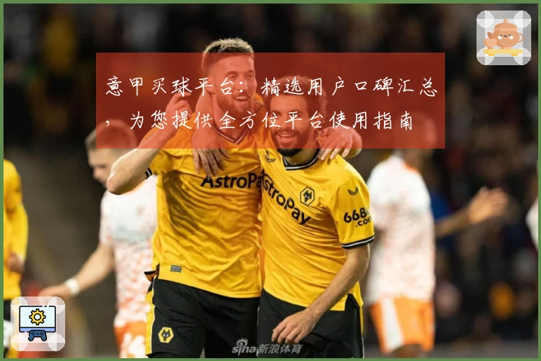 意甲买球平台：精选用户口碑汇总，为您提供全方位平台使用指南
